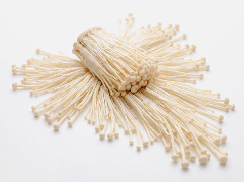Fresh enoki mushrooms isolated on a white background