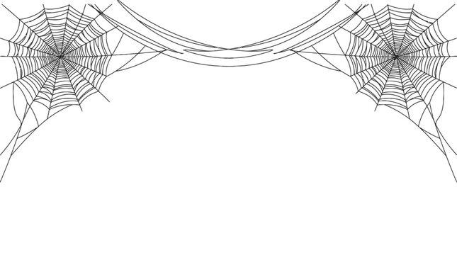 Black and white illustration of two spider webs framing the top corners on a plain white background
