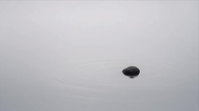 Minimal top view dark stone on calm water, gentle ripple texture, soft gray background, quiet abstract nature scene for serene balance, peaceful solitude, and soothing visual design imagery