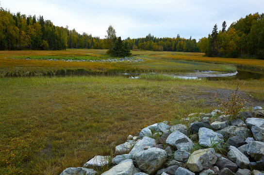 Riprap Boulders Along Meandering Wetland Creek