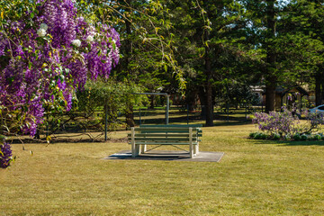 Fototapeta premium Wistaria Gardens at Parramatta Park during the wisteria flowering season in Sydney, New South Wales, Australia, September 18, 2026