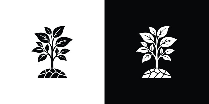 Minimalist Plant Growth Icon Set with Roots on Contrasting Backgrounds
