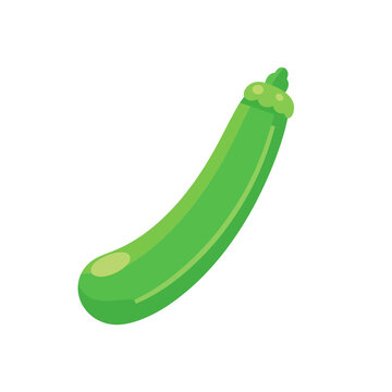 Fresh green zucchini vegetable icon isolated illustration isolated on transparent background, Vector