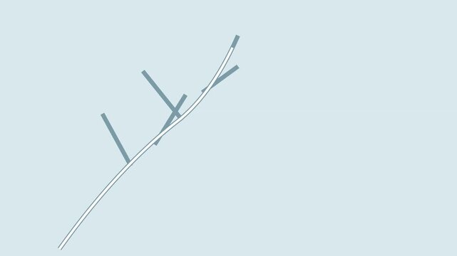 Bare tree branch with twigs slowly covered by white frost on a pale blue background, winter nature animation