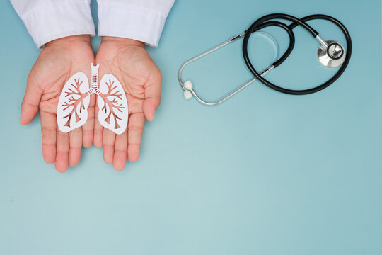 Caring doctor hand holding paper lung model near stethoscope shows pulmonary health management and hopeful patient support