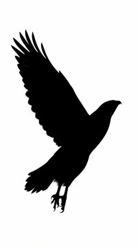 A striking black silhouette of a bird in flight against a plain white background.