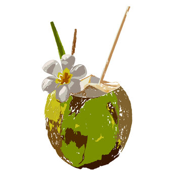 Fresh tropical green coconut drink with a straw and frangipani flower, textured digital illustration isolated on white.