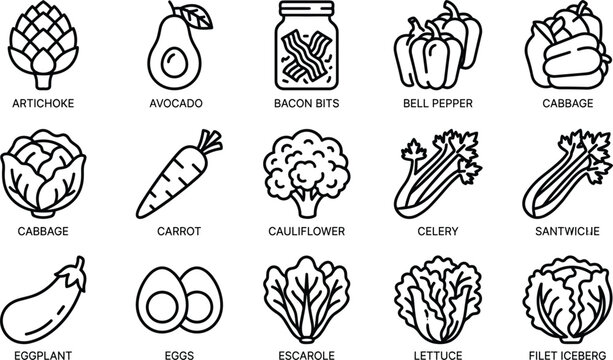 Fresh vegetable and grocery line icon set featuring avocado cabbage carrot broccoli celery eggplant lettuce eggs bacon