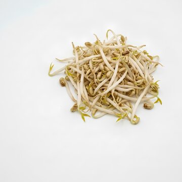 Fresh Bean Sprouts on White Background for Healthy Cooking 1.