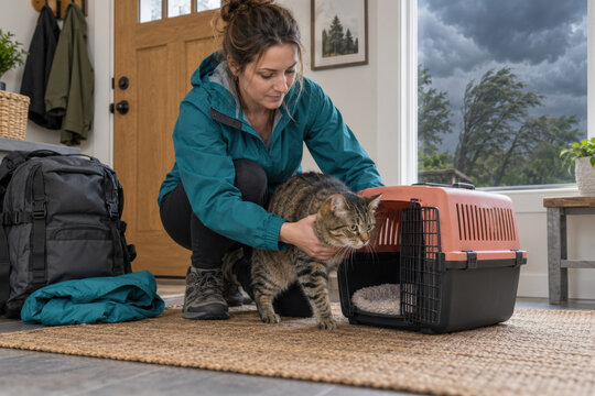 Adult woman handles a tabby cat beside an open pet carrier in a home entryway, preparing for travel or a veterinary visit.