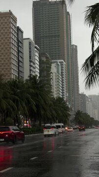 Rainy urban street scene with tall buildings and palm trees. Cars drive on wet pavement under overcast skies.