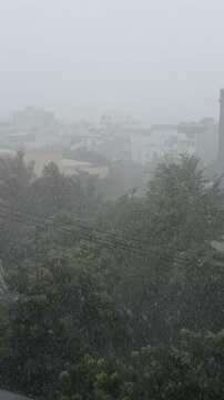 A heavy rainstorm obscures the view of a cityscape. Trees and buildings are partially visible through the dense rain and fog.