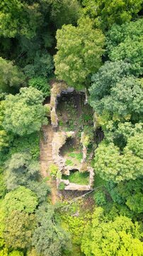 Ruins of the medieval church in the forest