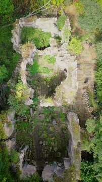 Ruins of the medieval church in the forest