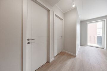 Bright modern apartment hallway with white interior doors, warm wood-look flooring, neutral walls, and a glazed balcony door providing natural light. Copy space © ugis