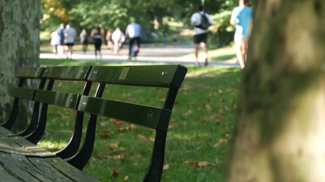 Wooden bench in Central Park of New York City, United States. People running on street in public park of Manhattan, USA. Runners on summer day in NYC. Sport and healthy lifestyle recreational activity