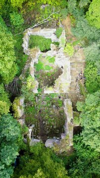 Ruins of the medieval church in the forest