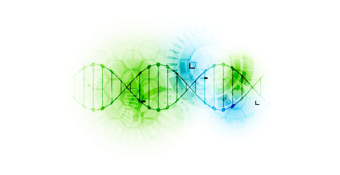 Abstract biotechnology background with a green and blue DNA double helix molecule and hexagonal patterns on a white background.
