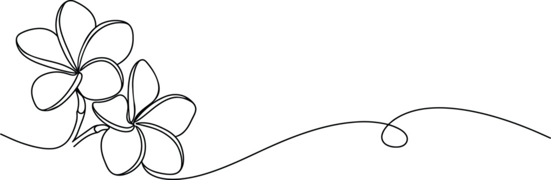 Continuous line drawing of two tropical plumeria flowers
