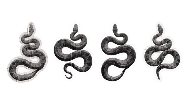 python snake , newspaper collage cutout set PNG
