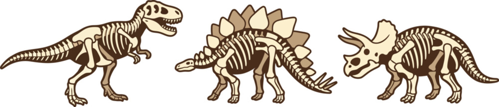 Vintage dinosaur skeleton vector set, prehistoric fossil remains of Tyrannosaurus Rex, Stegosaurus and Triceratops, museum paleontology illustrations
