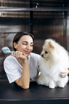 Professional groomer interacting with a fluffy white pomeranian dog at a modern pet grooming salon, preparing for brushing