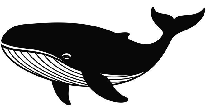 Black whale silhouette against a white background depicts a marine mammal
