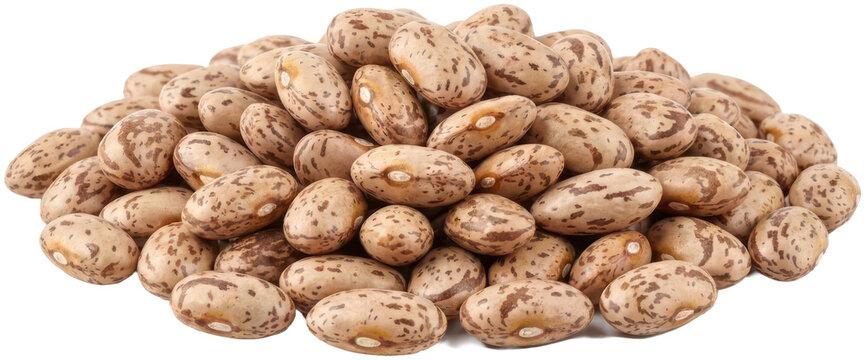 Pile of dried pinto beans isolated on black.