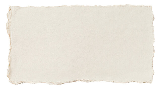 Rectangular sheet of handmade cream colored paper with rough deckled edges