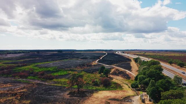 Aerial footage showing extensive wildfire damage across heathland in the New Forest, Hampshire, England, beside the A31. Large areas of vegetation are blackened and scorched, with patches of surviving