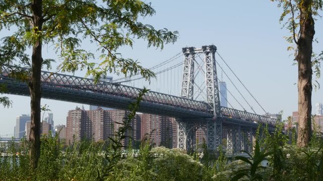 Williamsburg Bridge in Brooklyn, New York City, United States. Transport metallic bridge near Marcy Av subway station and Domino park in Williamsburg. Summer greenery on East River promenade.