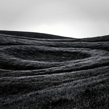 Cloudy foothill meadow with rolling grassy hills
