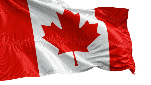 Waving Canadian flag with red maple leaf, isolated on transparent background