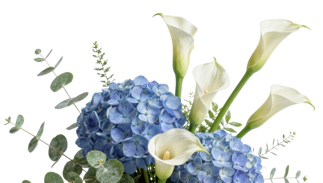 Blue hydrangea and white calla lilies bouquet with eucalyptus, isolated on transparent background