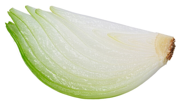 Cross-section of a fresh green and white onion slice, isolated on transparent background