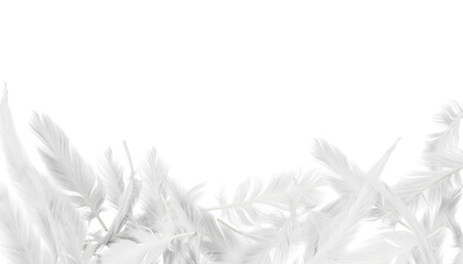 White feather border on gray 3d background. Render realistic light wing plumage of bird, duck or heaven angel. Soft delicate frame with airy downy texture, elegant modern banner © marozhkastudio