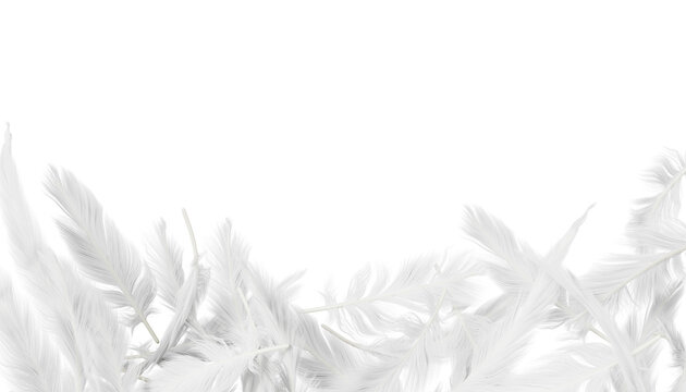 White feather border on gray 3d background. Render realistic light wing plumage of bird, duck or heaven angel. Soft delicate frame with airy downy texture, elegant modern banner
