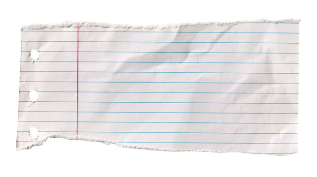 Torn piece of white lined notebook paper with three ring binder holes and red margin