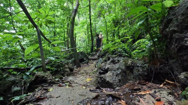 Couple Hiking Through Lush Green Tropical Forest Trail on an Adventurous Outdoor Journey