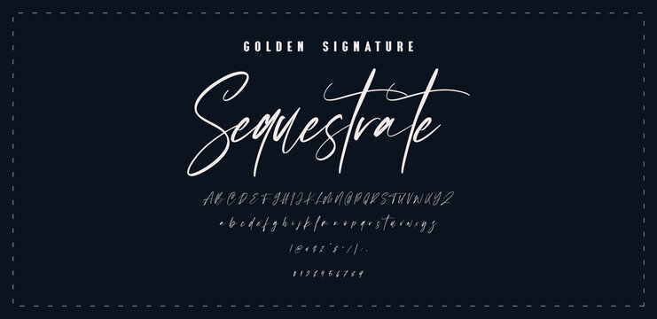 Hand drawn vector alphabet. Modern monoline signature script font. Elegant Signature Font. Best Alphabet Beautiful Calligraphy Signature Font
