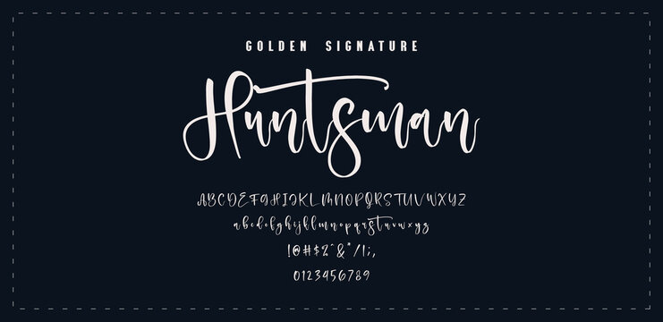 Hand drawn vector alphabet. Modern monoline signature script font. Elegant Signature Font. Best Alphabet Beautiful Calligraphy Signature Font