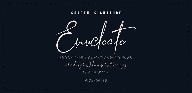 Hand drawn vector alphabet. Modern monoline signature script font. Elegant Signature Font. Best Alphabet Beautiful Calligraphy Signature Font