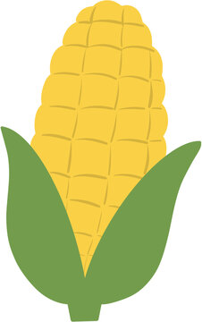 vector illustration of a yellow corn