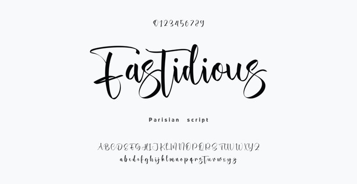 Signature Font Calligraphy Logotype Script Brush Font Type Font lettering handwritten. Minimal modern urban fonts for logo, brand etc. Typography typeface uppercase lowercase and number.