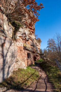 Ruines d'un ch&acirc;teau m&eacute;di&eacute;val en gr&egrave;s int&eacute;gr&eacute;es dans une paroi rocheuse, dans un paysage forestier des Vosges. (ch&acirc;teau du Falkenstein, France)
