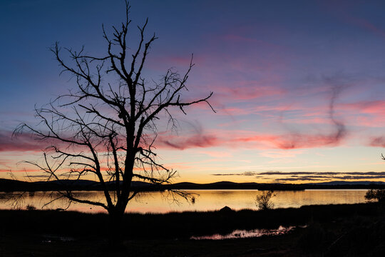 Sunset landscape featuring the silhouette of a dead oak tree and the Valpara&iacute;so Reservoir at sunset, Zamora, Castile and Le&oacute;n, Spain.