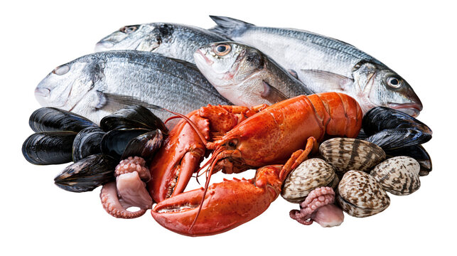Fresh raw lobster with whole sea bream fish mussels octopus and clams seafood