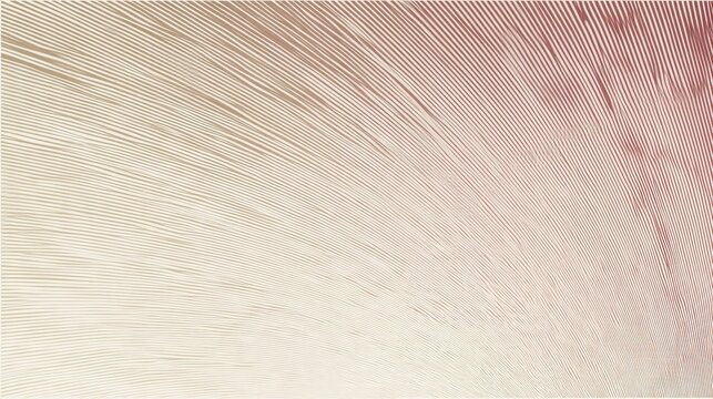 Premium background design with white line pattern (texture) in luxury pastel colour. Abstract horizontal vector template for business banner, formal backdrop, prestigious voucher, luxe invite