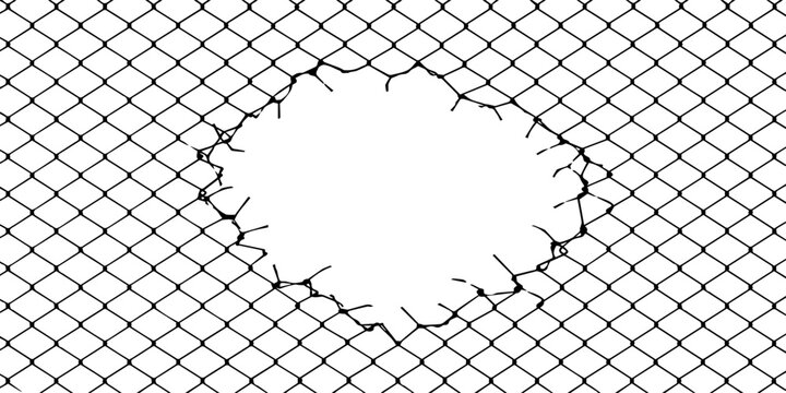 Barbed Wire and Chain Link Fence Seamless Metal Mesh Pattern, Security Barrier Frame with Steel Wire Grid for Prison, Protection, Industrial Wallpaper and Background Design