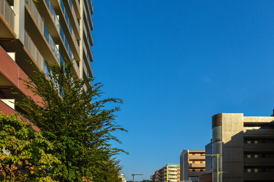日本の住宅地